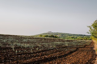 Masseria Fiore