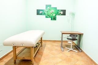 Rehabilitation Center - Fisioterapia e Riabilitazione a Ladispoli