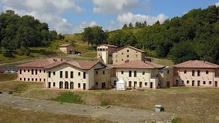 Casalino