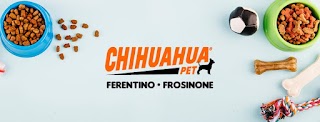 Chihuahua Pet Ferentino