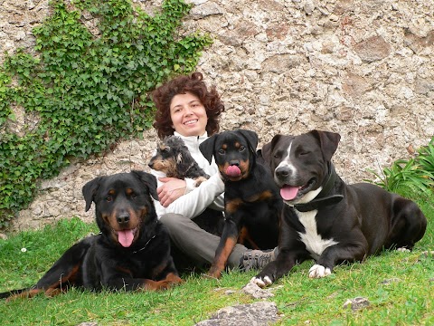 Addestramento cani ASD Happy Dog Palermo