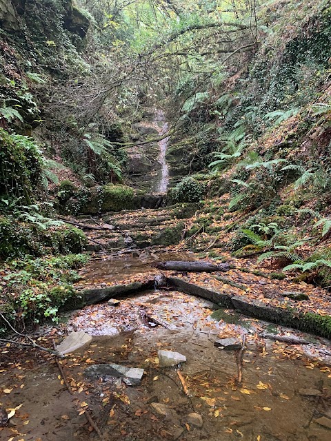 FATTORIA DI CATICCIANO