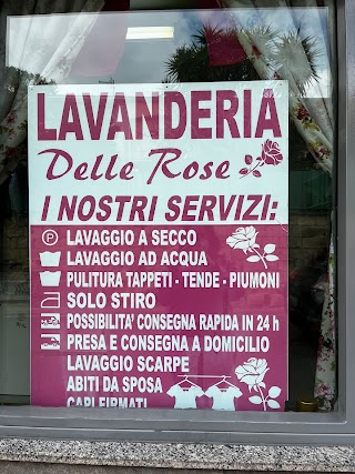 LAVANDERIA DELLA ROSE DI ALLEGRETTA CLELIA