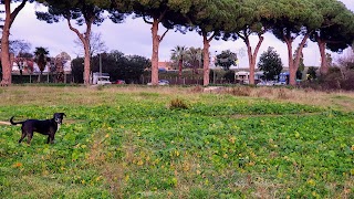 Parco Giochi Ladispoli Palo