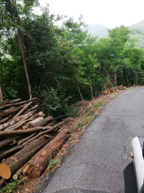 Azienda Forestale Quiligotti Gian Luca