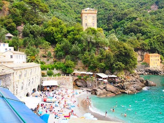 Battelli Turistici • Cruise Terminal