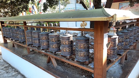 Istituto Lama Tzong Khapa