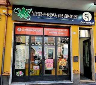 The Grower Sicily • Canapa Store