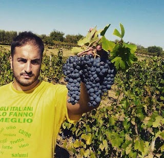 Vini Petracavallo | Puglia Vini Naturali in Terra delle Gravine