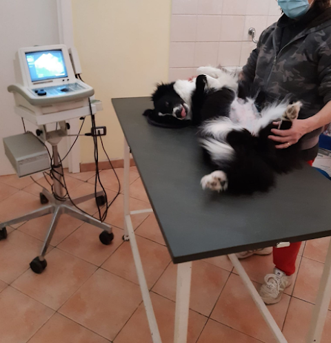 Clinica Veterinaria Sant'Antonio