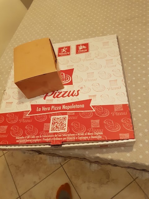 Pizzus