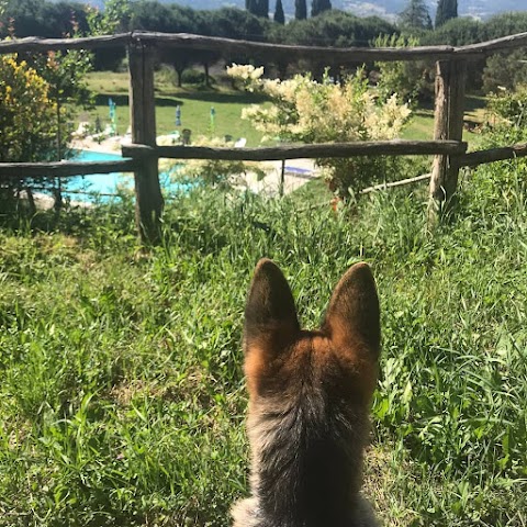 Agriturismo Fattoria di Cintoia