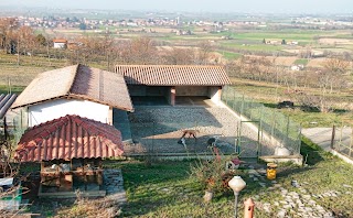 Villa Maya Pensione Cani, Centro cinofilo, Addestramento, Falconeria