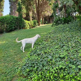 AMBULATORIO VETERINARIO PONTE ALL’ANIA