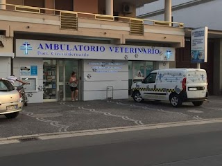 Ambulatorio Veterinario Dr Ciervo