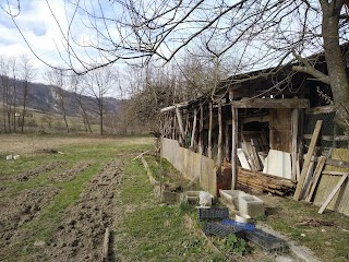 Teatro Cantiere