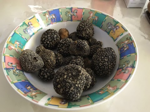 Piedmont Truffles