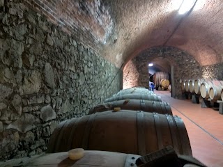 Fattoria Di Casalbosco Srl