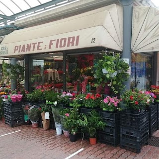 Francesca e maurizio piante e fiori box 12