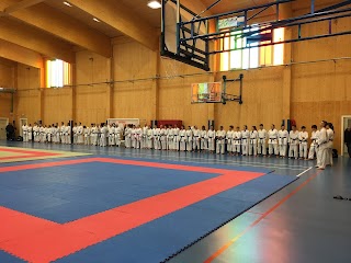 Leoni Karate Team