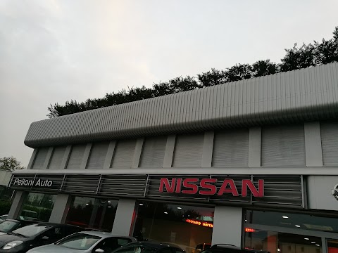 Pelloni Auto - Concessionaria Nissan, Mitsubishi, DR Auto, EVO, EMC, Aiways, Seres, Maxus, Great Wall, SsangYong Modena