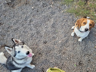 Asilo Fido "da Alfio e Turi"