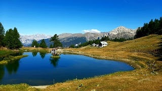 Parco naturale del Gran Bosco di Salbertrand