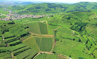 Ca' Rugate Azienda Agricola