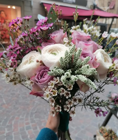 Frida's Pontedera | Italian Flower Stores