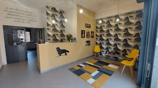 Bobo Estetique - wellness and grooming salon