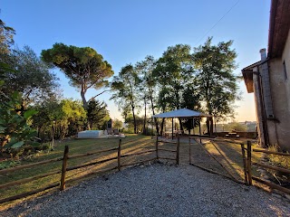 Fattoria Camilla B&B