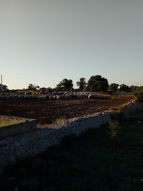 Trulli Capo di Lupo