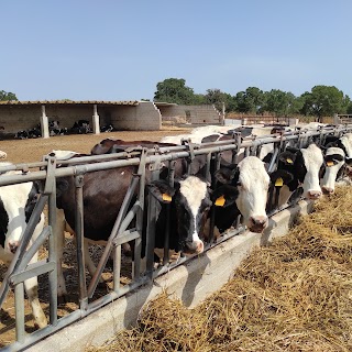 Masseria Fragnite - Azienda Agricola: Formaggi, Carni, Salumi, prodotti da forno e Verdure.