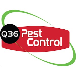 Q36 Pest Control