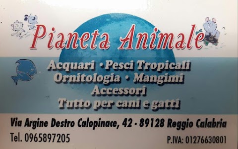 Pianeta Animale Acquari Pesci Tropicali Ornitologia