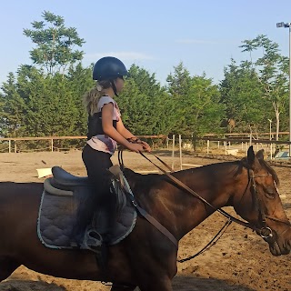 CIRCOLO IPPICO IL CILIEGIO - scuola di equitazione, Pony games, organizzazione compleanni a tema