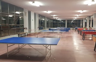 Palestra Ping Pong Fortitudo Busnago