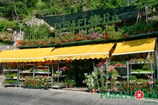 Piante e Fiori Posaflora Positano