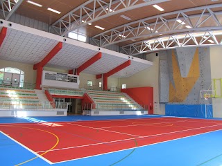 Palasport Carisolo