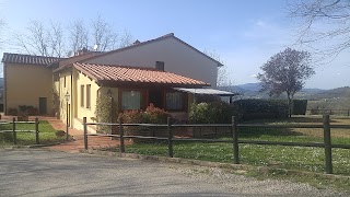 Agriturismo Petrognano