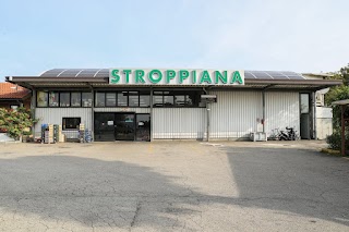 Stroppiana Ortofrutticoli Spa