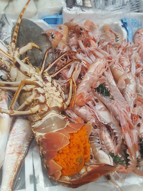 Pescheria Acquarius Pesce fresco e pescato di qualità Gastronomia di Pesce a Ragusa