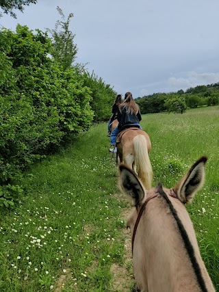 Centro turismo equestre ranch stella alpina ASD