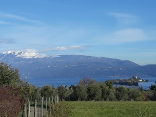 Fratelli Castellini Sas Di Castellini Geom. Donato E C.