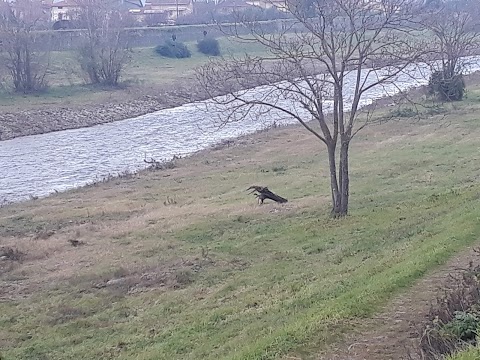 Percorso Natura (sterrato)