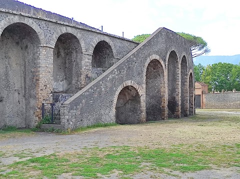 Visite Guidate Pompei