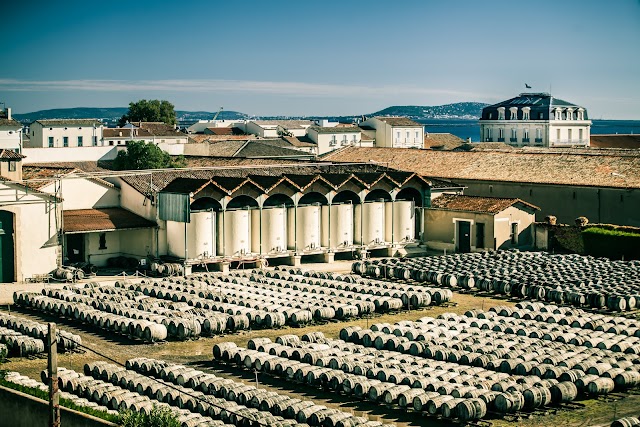 La Maison Noilly Prat - Musée - Bar - Boutique