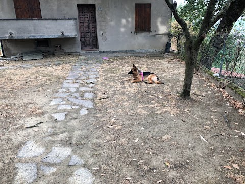 Agriturismo il Vecchio Borgo