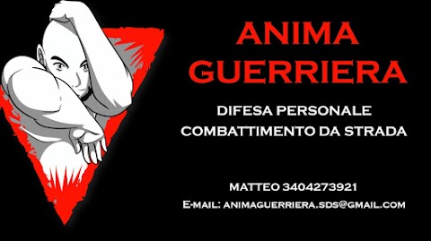 Anima Guerriera - Street Defense Systems