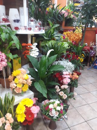 Gattimolo Flower Design